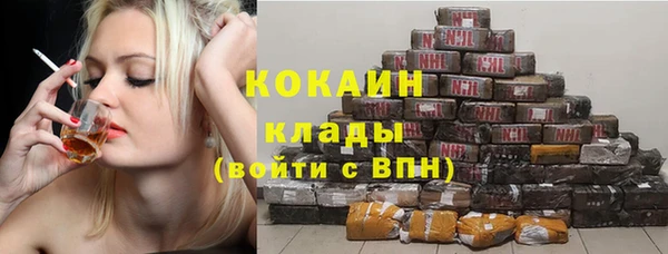 крисы Алзамай