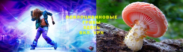 ПСИЛОЦИБИНОВЫЕ ГРИБЫ Абдулино