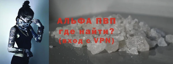 крисы Алзамай