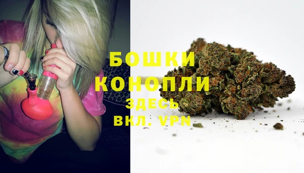 ПСИЛОЦИБИНОВЫЕ ГРИБЫ Абдулино