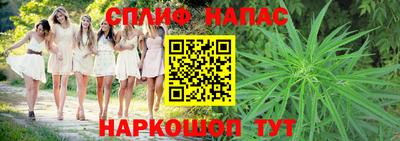 дмт Краснодар