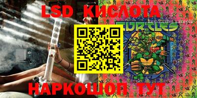 дмт Краснодар