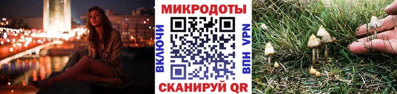 Галлюциногенные грибы GOLDEN TEACHER цены Избербаш